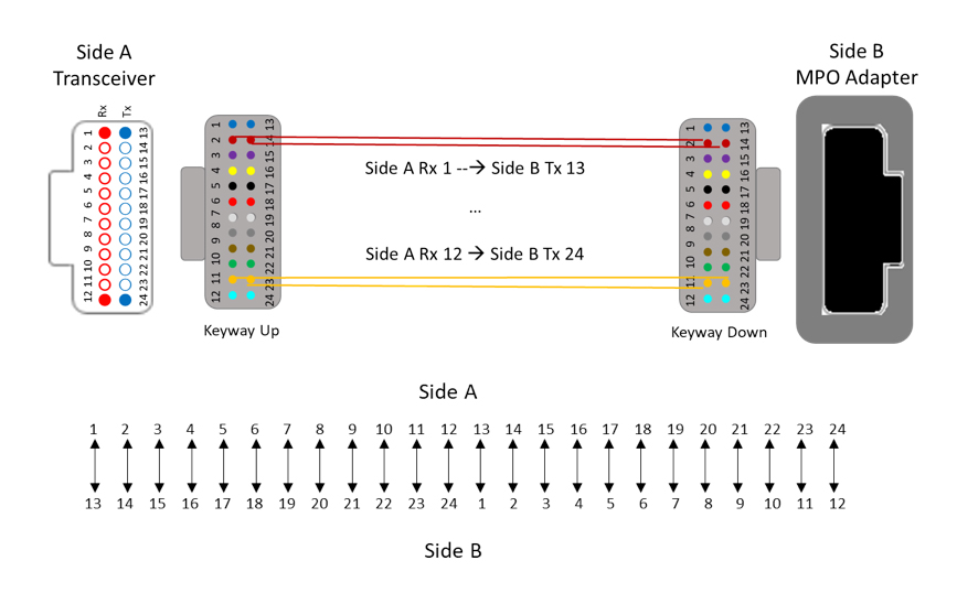 choosing mpo image